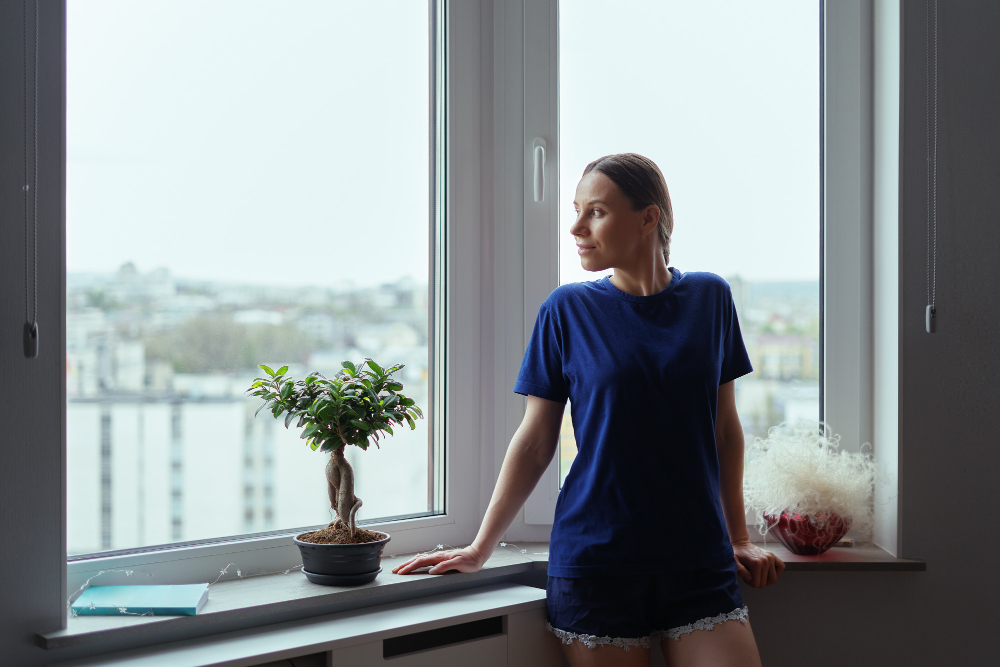 Wilmington Vinyl Windows